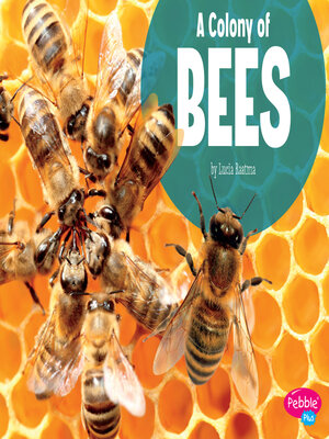 cover image of A Colony of Bees